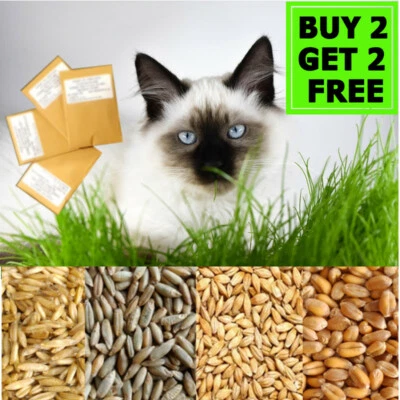 Organic CAT PETS GRASS SEEDS Oat Wheat Barley Rye in Eco Paper Bag GET 2 FREE