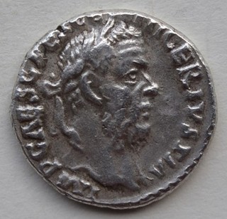 DENIER de PESCENNIUS NIGER Capricornes Antioche sur l’Oronte Syrie