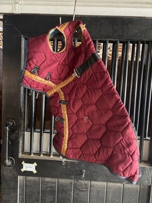 Big D Outdoor Horse Hood, Medium Weight