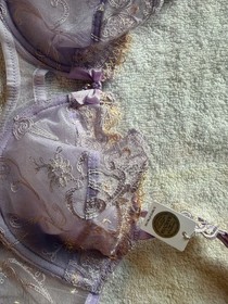 Lise Charmel Instant Couture bra 36B lavender Savorski Crystal NWT