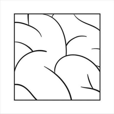 INTELLEXUAL [4/12] NEW CD