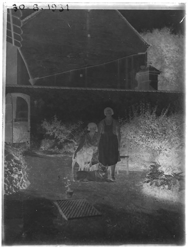 Plaque verre photo ancienne négatif noir et blanc 9x12 cm femme chiens France - Photo 2 sur 2