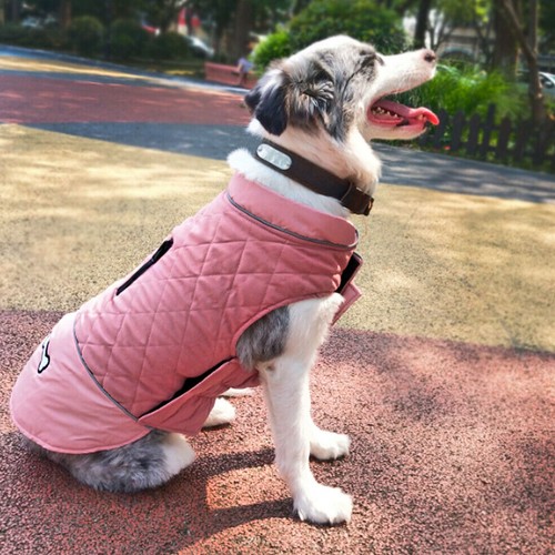 Small Dog Coat for Winter Waterproof 