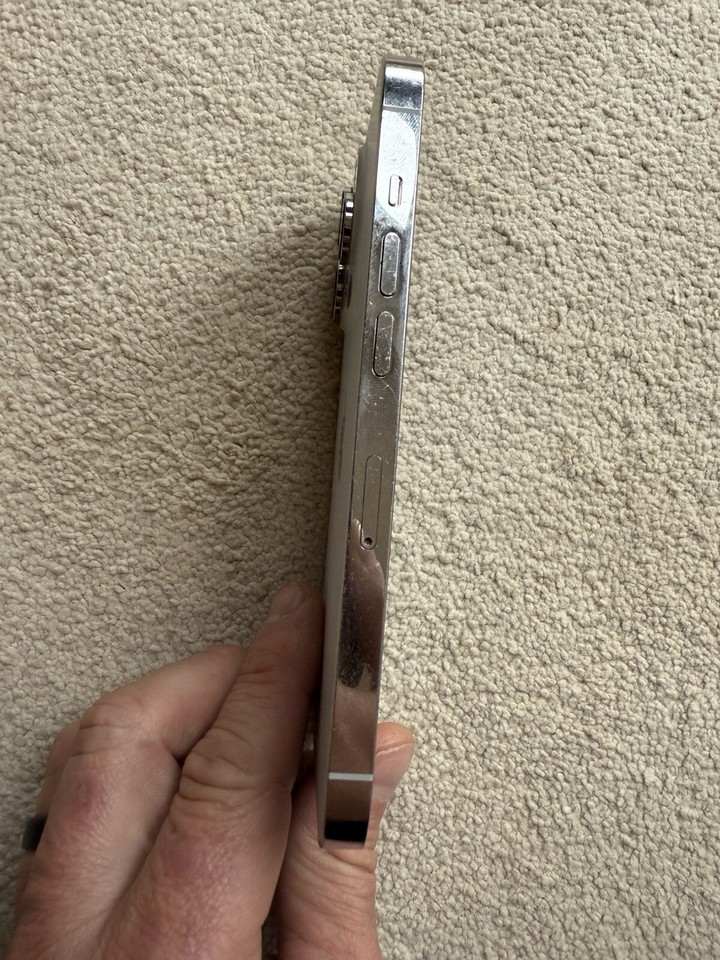 Apple iPhone 14 Pro 256GB Silver (Unlocked) 194253402824 eBay