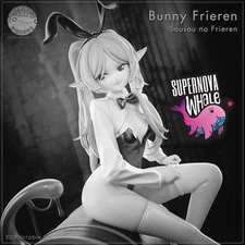 Bunny Frieren | Parts / Assembled and Primed