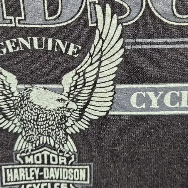 Harley Davidson Michigan Grand Rapids Sweatshirt (M) / 10956