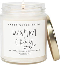 Warm and Cozy Candle - Pine Cinnamon  Fir Winter Scented Soy Candles for Home 
