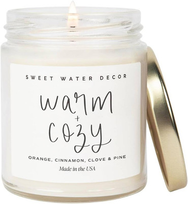 Warm and Cozy Candle - Pine Cinnamon & Fir Winter Scented Soy Candles for Home |