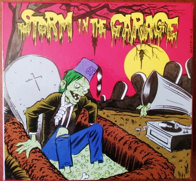 Various: ''Storm In The Garage'' (Garage Rock  CD Reissue)