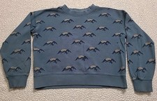 Hanna Andersson Kids Size 10 Long Sleeve Sweatshirt Mountains Rainbow Pull Over