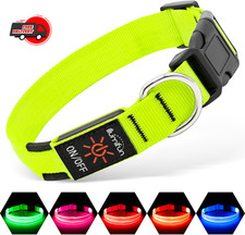 Illumifun LED Dog Collar, USB Rechargeable Light Up Assorted Sizes , Colors