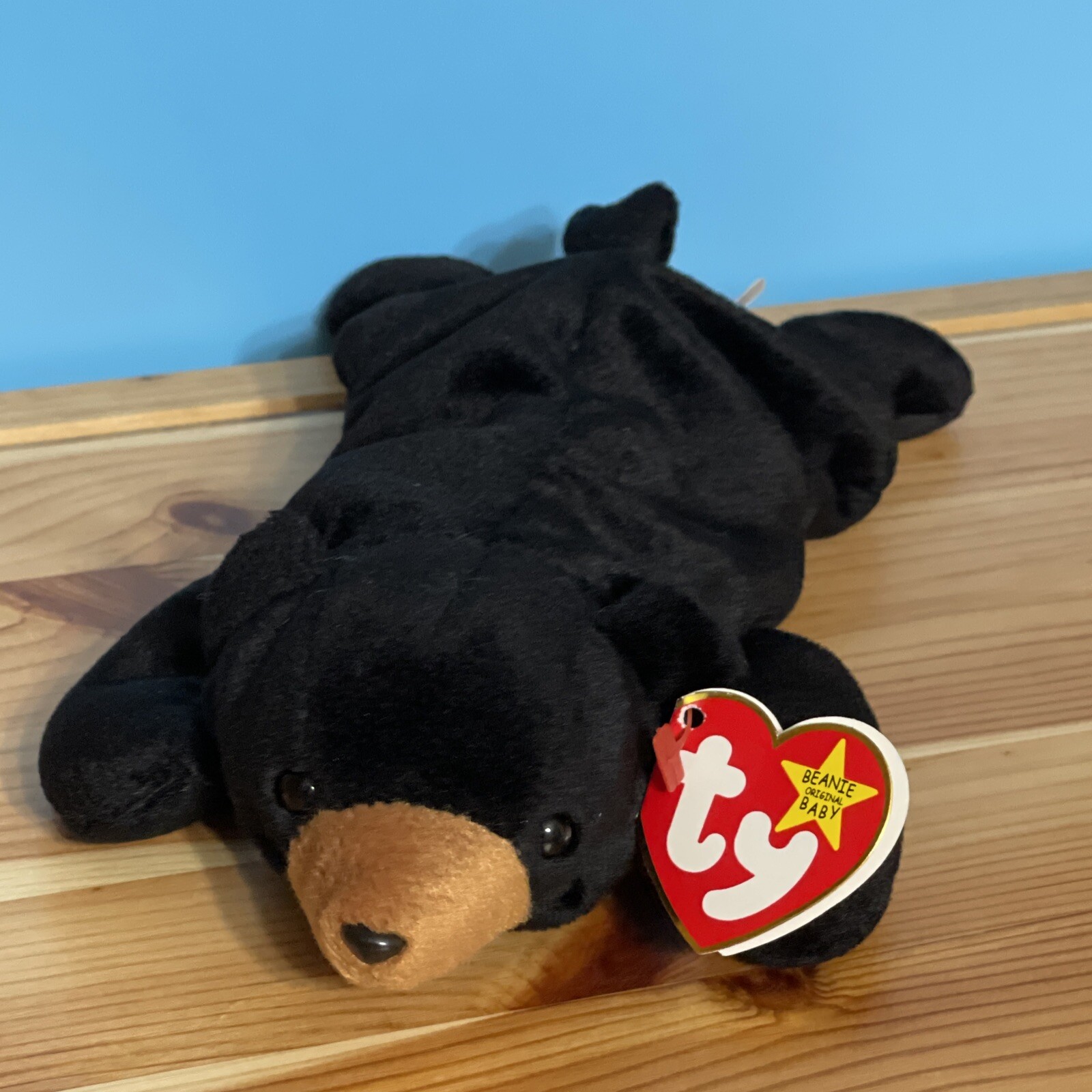Ty Beanie Babies Blackie Black Bear 9" Beanbag Plush 1993 With Hang Tag eBay