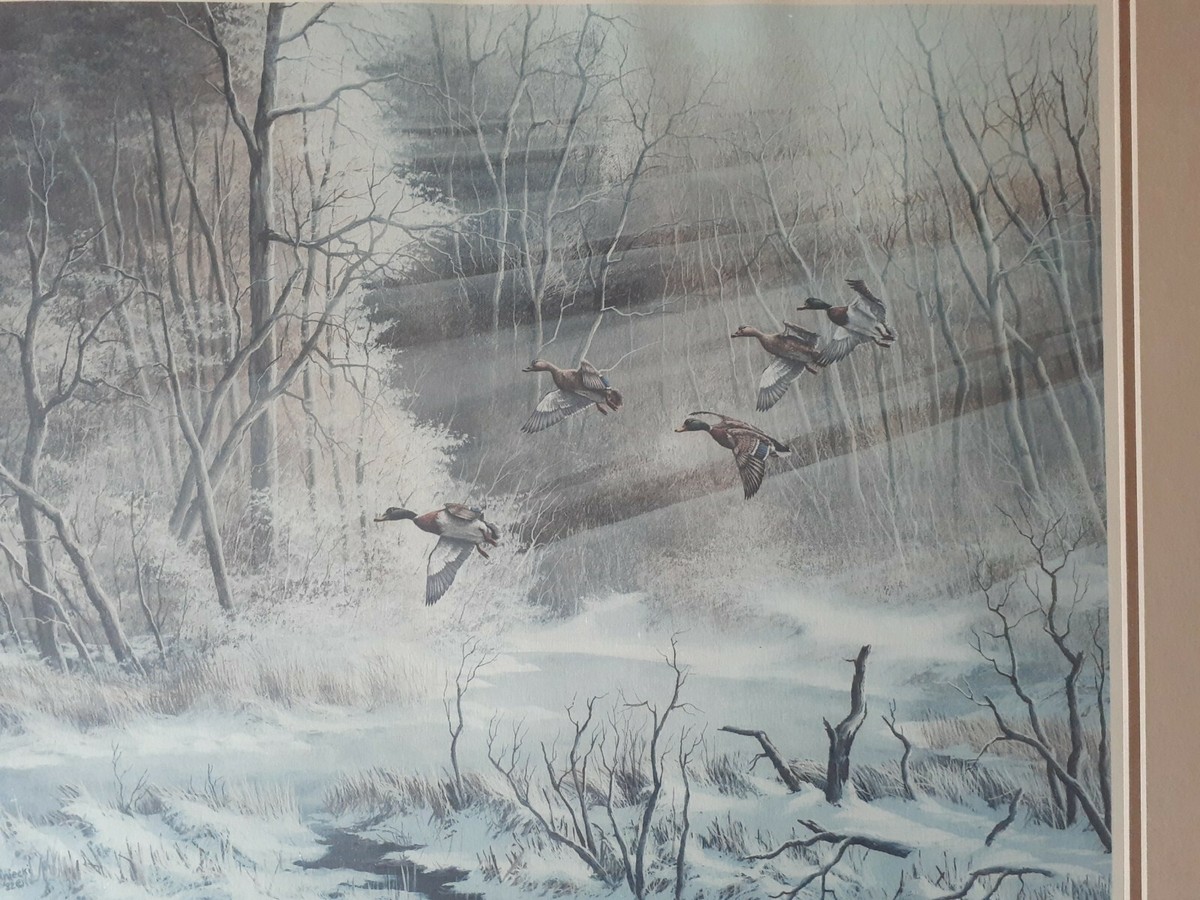 Anton Znaniecki Canada Geese Wood Framed Print 28