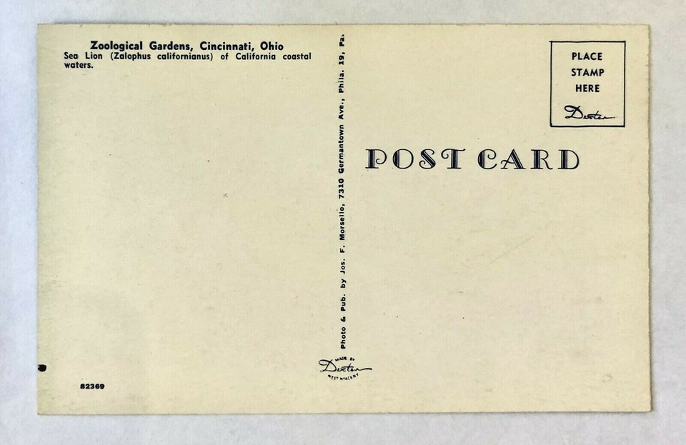 1960s Cincinnati Ohio OH Zoological Gardens Sea Lion Ball Vintage