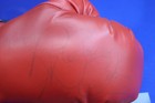 Ray Boom Boom Mancini Signed Everlast Boxing Glove Autographed Photo Authentic — photo 5
