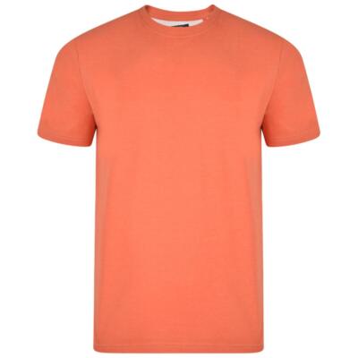 KAM Herren Big Size Uni T-Shirt in 2 Saisonfarben Gr. 2XL - 8XL