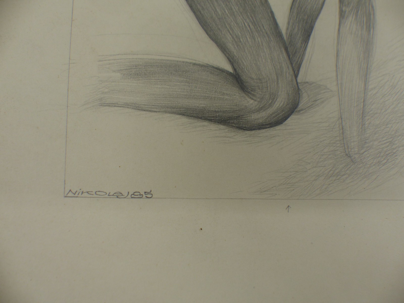 Bild 8 von 14