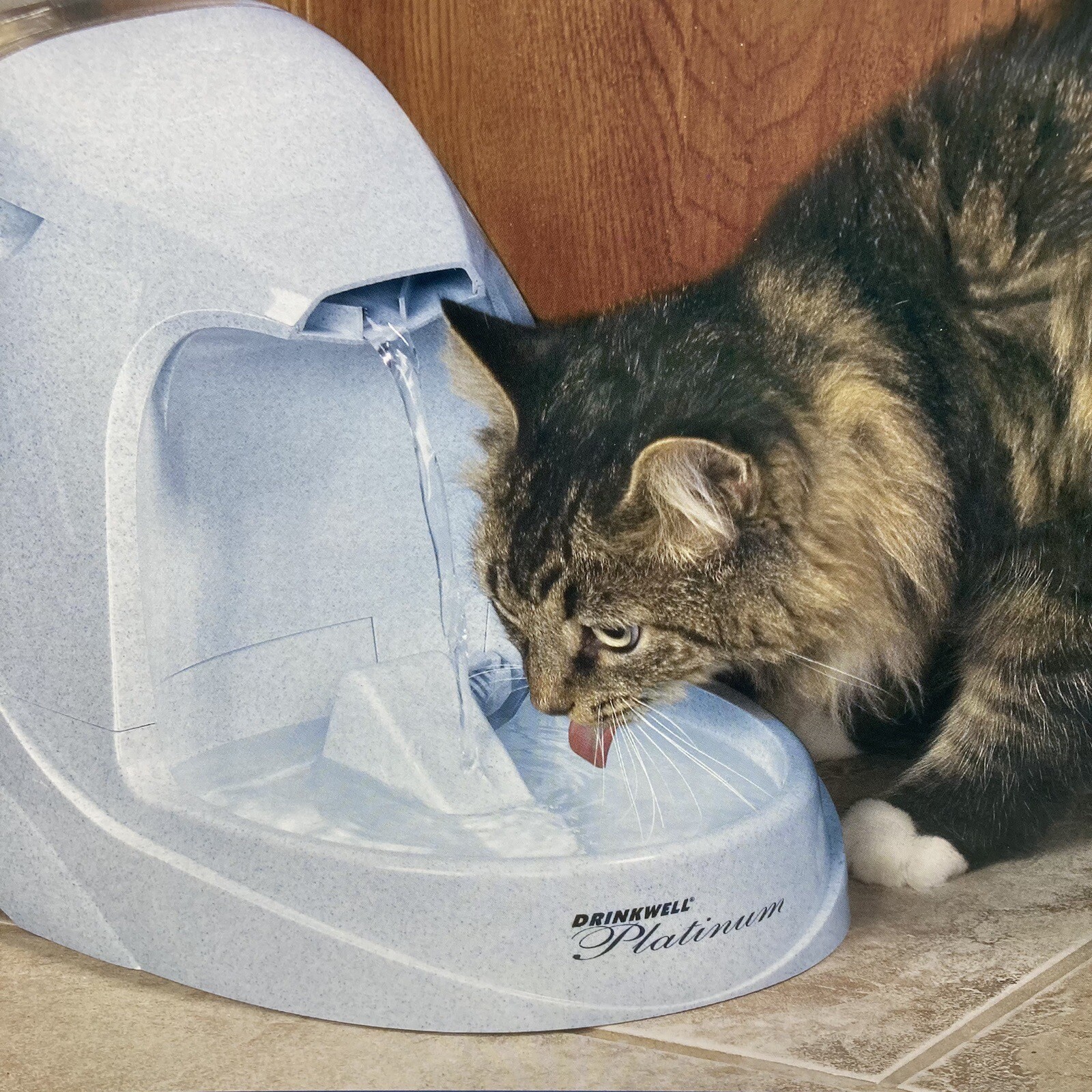 PetSafe Drinkwell Platinum Pet Water Fountain for Cats and Dogs, 168 oz