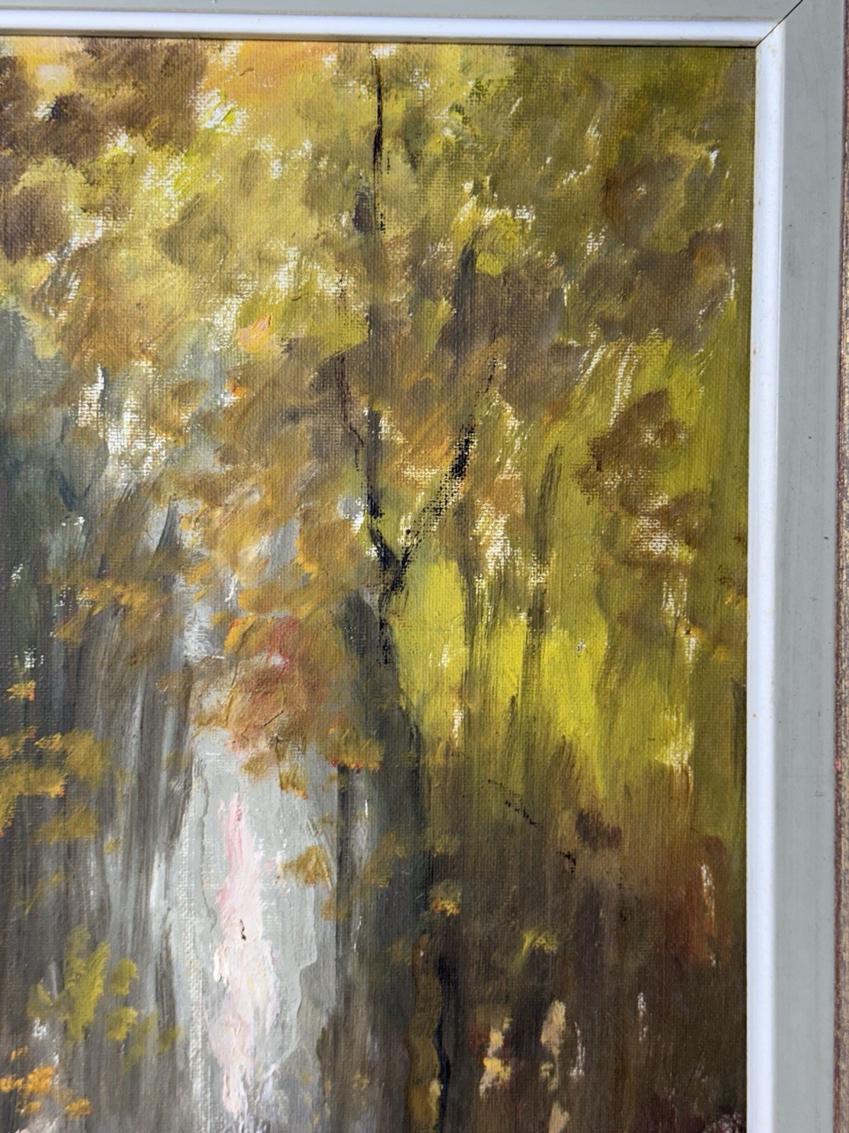 Picture 5 of 14