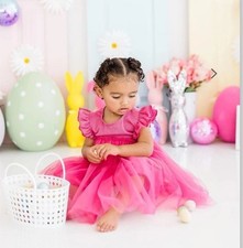 Pink Tutu Dress Baby Girl Hot Pink Tulle Birthday Cake Smash Princess Photo