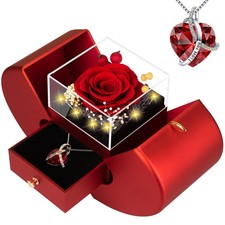 Women Gifts Ideas for Valentines Day, Preserved Forever Rose Gift with Necklace 