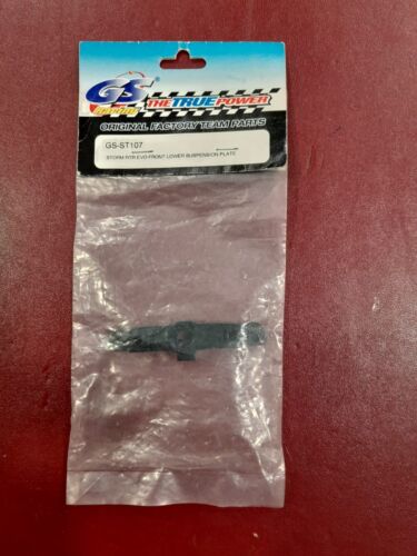 GS STORM LOWER SUSPENSION PLATE - 第 1/1 張圖片