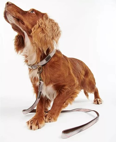 BARBOUR Dog lead leash Reflective Tartan Taupe/Pink Tartan $50 - 第 2/9 張圖片