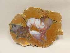 Priday Agate Thunderegg Richardson Ranch Polished Stone Slab #O12
