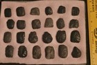 24 Early Archaic Thumb End Scrapers Washington Co. AR — photo 1
