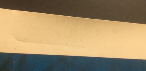 RARO ALLEGATO OASIS 3/89 - RIPRODUZIONE FAMOSA FOTO MARTIN PESCATORE HASSELBLAD - Picture 4 of 4