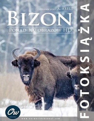 Bizon: Fotoksi??ka by A. Arelt Paperback Book