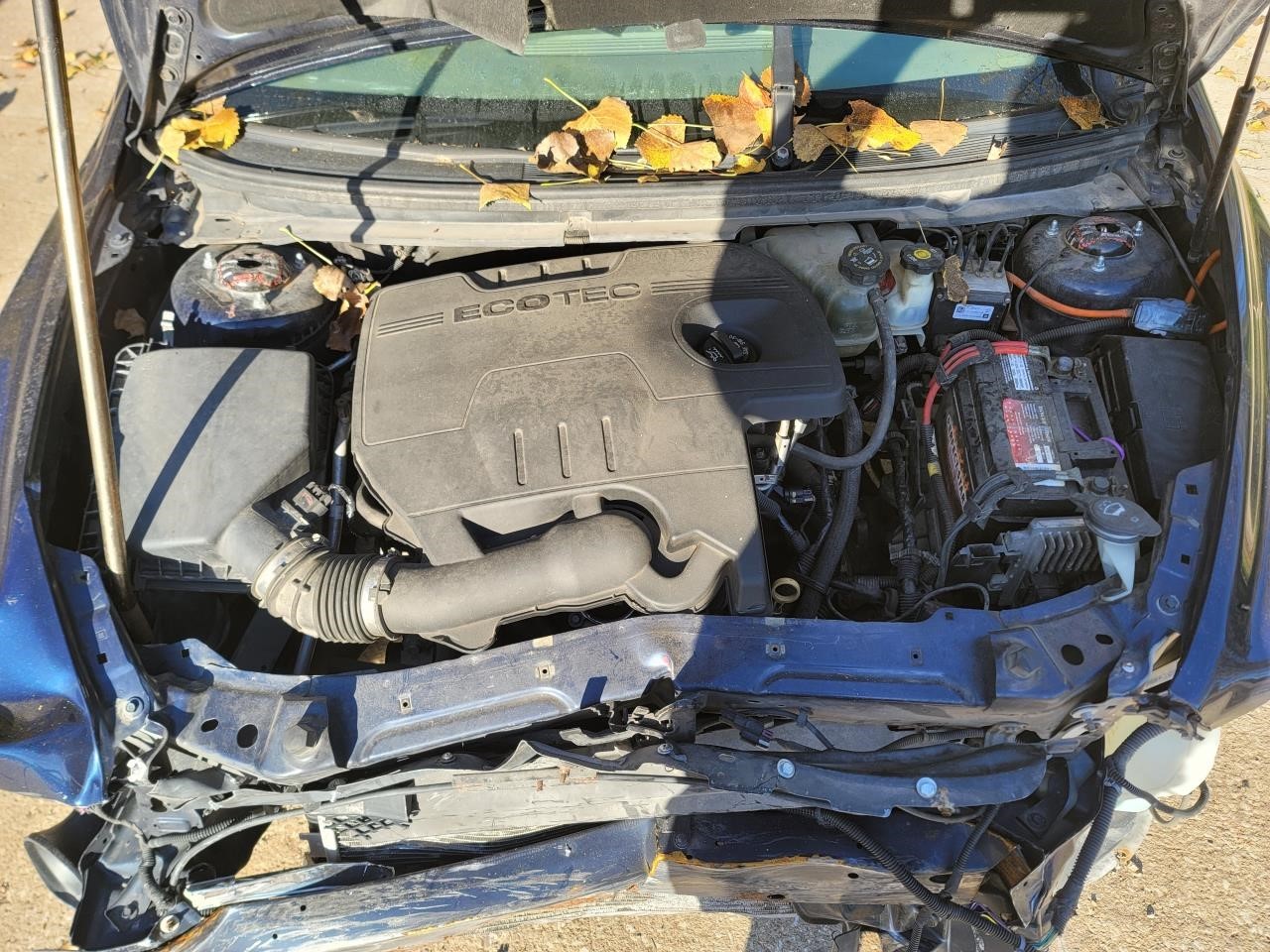 Picture 4