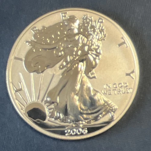 2006-P American Eagle Reverse Proof 1 oz Silver Bullion Coin .999 Fine