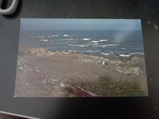 vintage postcard mendocino coast botanical gardens california