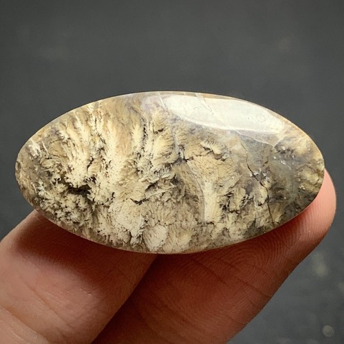 Natural Plume Agate 33x18x5.5mm High Quality Cabochon 26 ct - Picture 7 of 7