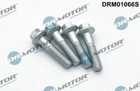 Dr.Motor Automotive Schraube, EinspritzdüSenhalter FüR Ford