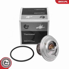 Thermostat Audi 200