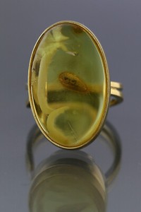 Authentic Honey Genuine BALTIC AMBER Gold Plated Silver Adjustable Ring 6.1g 190425-12