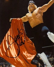 WRESTLING SUPERSTARS - AUSTIN IDOL   VOLs 1-10 - PRO WRESTLING