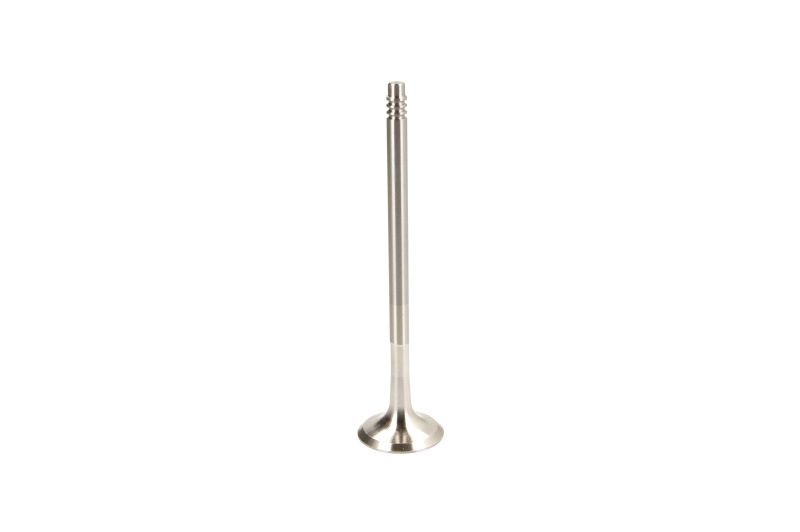 2x ✅Fits FRECCIA 6731/BM Exhaust valve 6731/BM Exhaust valve (27x6x1 ⭐UK Seller⭐ - Image 6