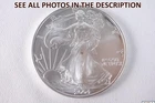 NobleSpirit (LG) Gem BU 2004 American Silver Eagle .999 1oz Some Toning