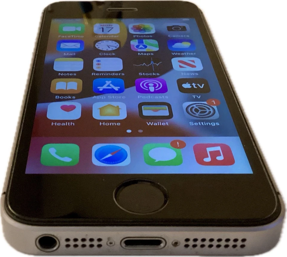 Apple iPhone SE 1ª Generación 64 GB Desbloqueado Gris espacial - Buen Estado Foto 4 de 4