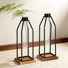 Test Tube Vase Set of 2, 11&12.5 Inch Flower Vases with Iron Stand & Wood Bas...