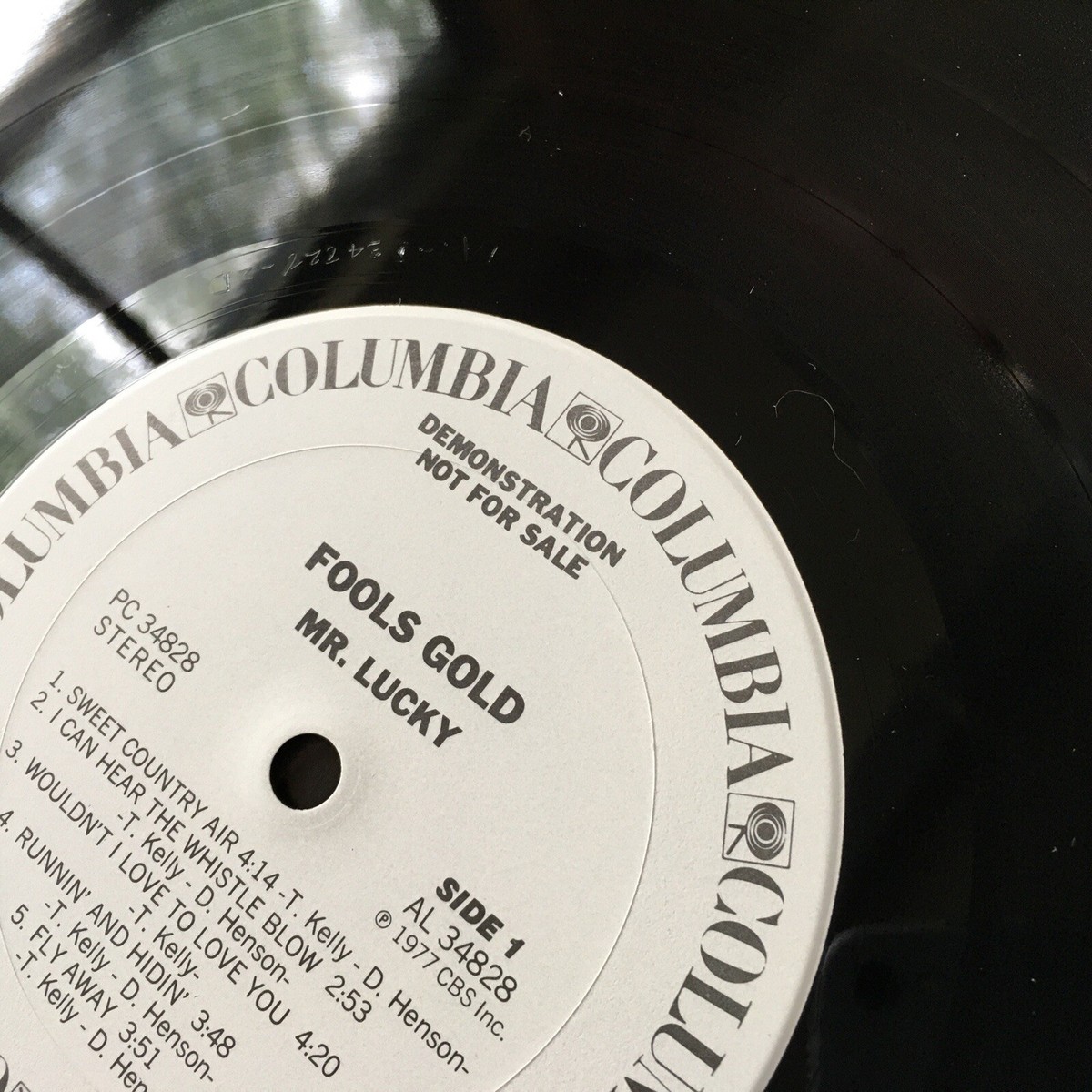 Fools Gold - Mr. Lucky - 1977 - Columbia PC 34828 - Vinyl