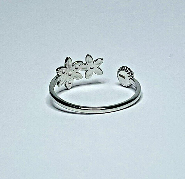 Anillo - Aigues