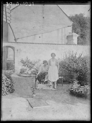 Antique Black and White Negative Photo Glass Plate 9x12cm Women Dogs France 