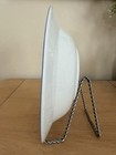 One Savoir Vivre LUSCIOUS 12" Dinner Plate JJ017 Painted Fruits White Japan — photo 4