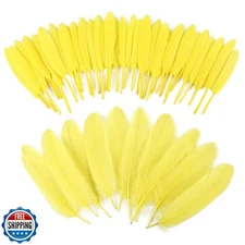 iHUFeather 270pcs Yellow Goose Feathers for Crafts 2 Styles 4-7 inch Bulk Nat