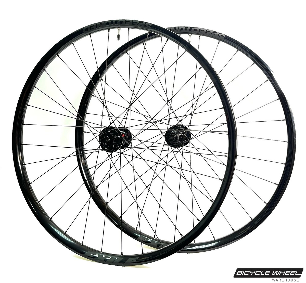 Specialized - DTスイス  ホイール avelo Bicycle shop | アヴェロ バイシクル ショップ 浦和