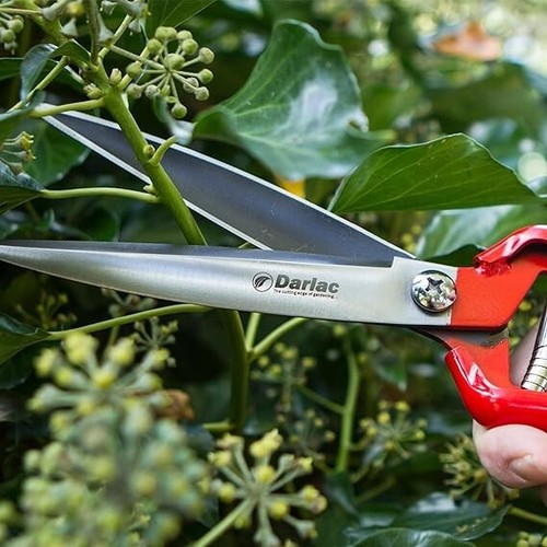 Darlac Garden Perennial Hand Shears DP855 eBay